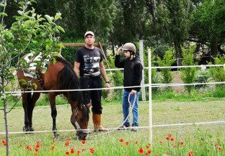 Caminando con Caballos's header image