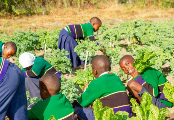 Alimentación escolar para los niños de la Escuela Primaria de Kitapilimwa, en Iringa, Tanzania.'s header image