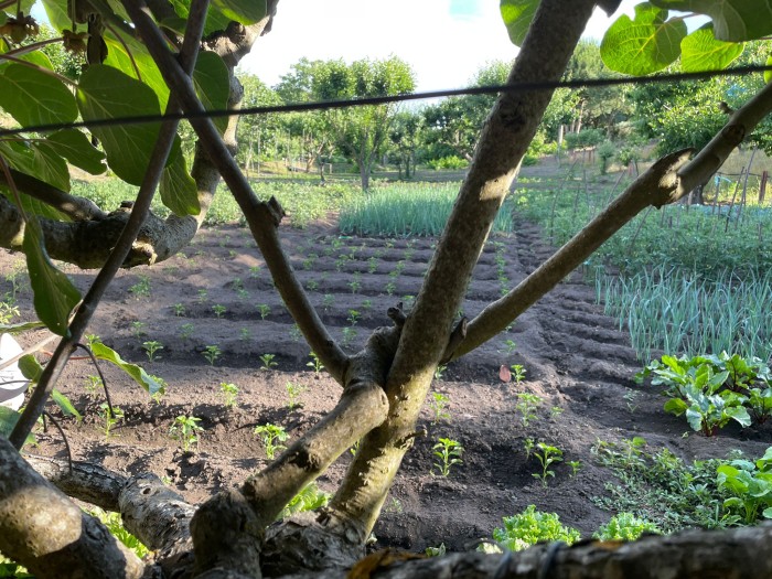 imagen-de-whatsapp-2025-10-16-a-las-14.48.06-a5142