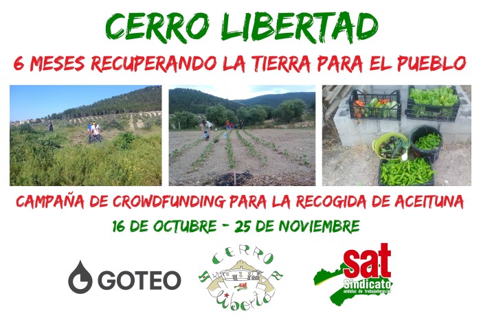 antes-despues-huerta.jpg