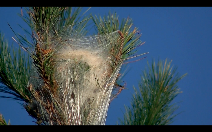 captura-de-pantalla-2013-10-08-a-la-s-12.36.05.png