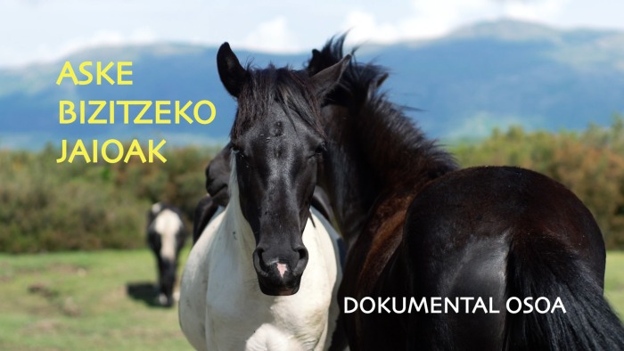 ¡Notas sobre Caballos en euskera!