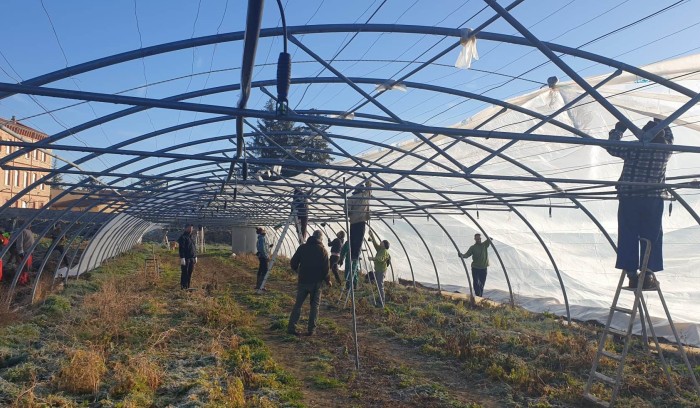 invernadero-montaje-1.jpeg