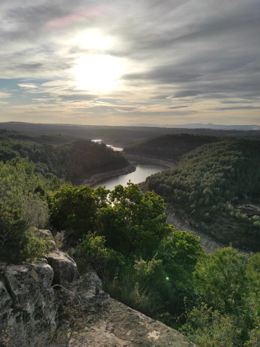 Participants a la Taula rodona Gestió del Paisatge a les Terres del Gaià